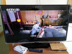 an在线电视免费观看,AN在线电视带你开启视听盛宴