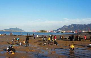 连云港墟沟最新爆料,揭秘墟沟发展新篇章 第2张 连云港墟沟最新爆料,揭秘墟沟发展新篇章 第2张